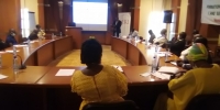 Centrafrique : l’ONG IRI renforce les capacités des membres de démembrement de l’ANE au processus électoral