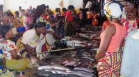 Centrafrique : les prix sur le marché sont restés stables à Bangui en provinces, selon l’ICASEES