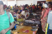 Centrafrique : « La Centrafrique affiche une croissance économique estimée à 4,8% en 2019 », selon la Banque Mondiale