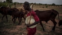 Centrafrique : Les cultivateurs de Ngaoundaye et Bang appellent à la gestion de transhumance dans la région