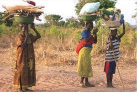 Centrafrique : Les régions du Nord menacées par la crise alimentaire